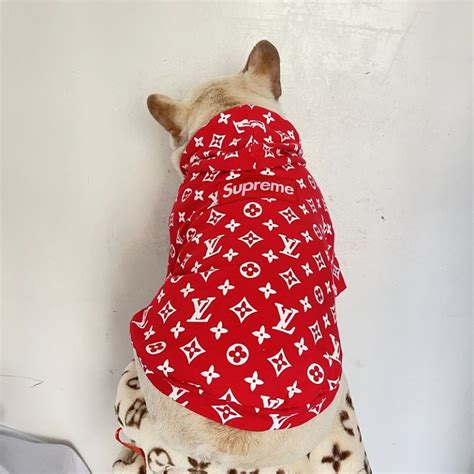 Louis Vuitton Apparel & Accessories for Dogs.